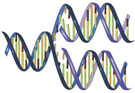 DNA string images